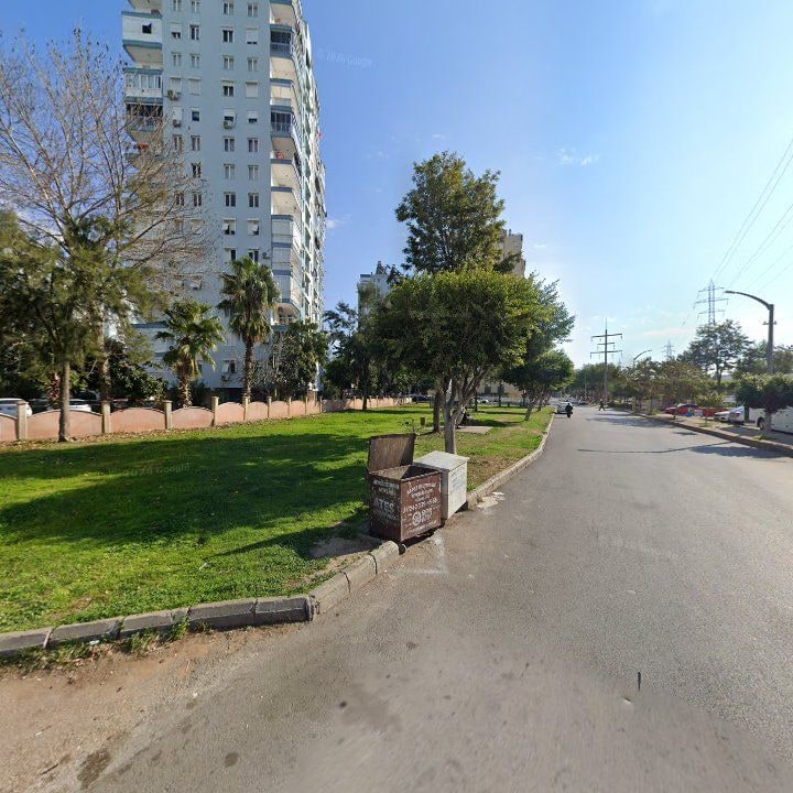 Fotoğraf 10