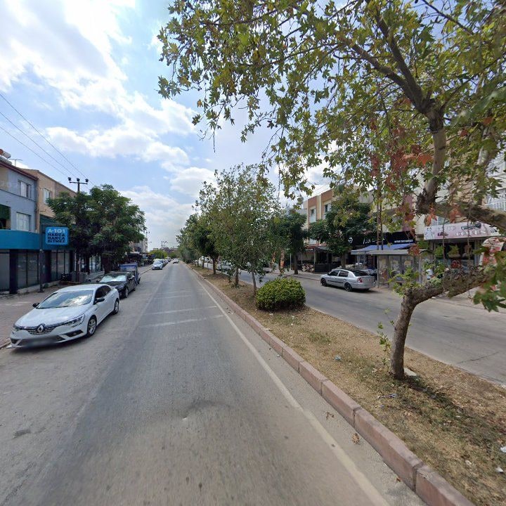 Fotoğraf 5