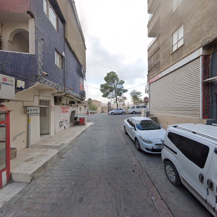 Fotoğraf 3