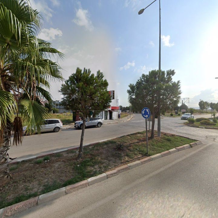 Fotoğraf 10