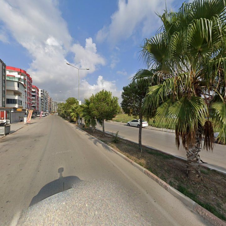Fotoğraf 9