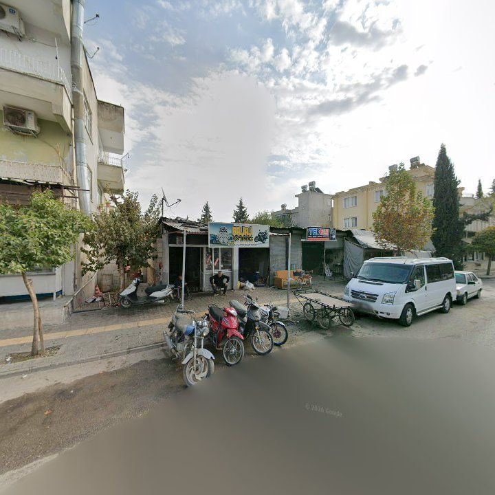 Fotoğraf 3