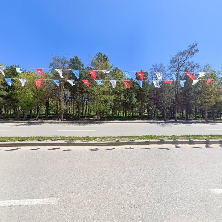 Fotoğraf 8