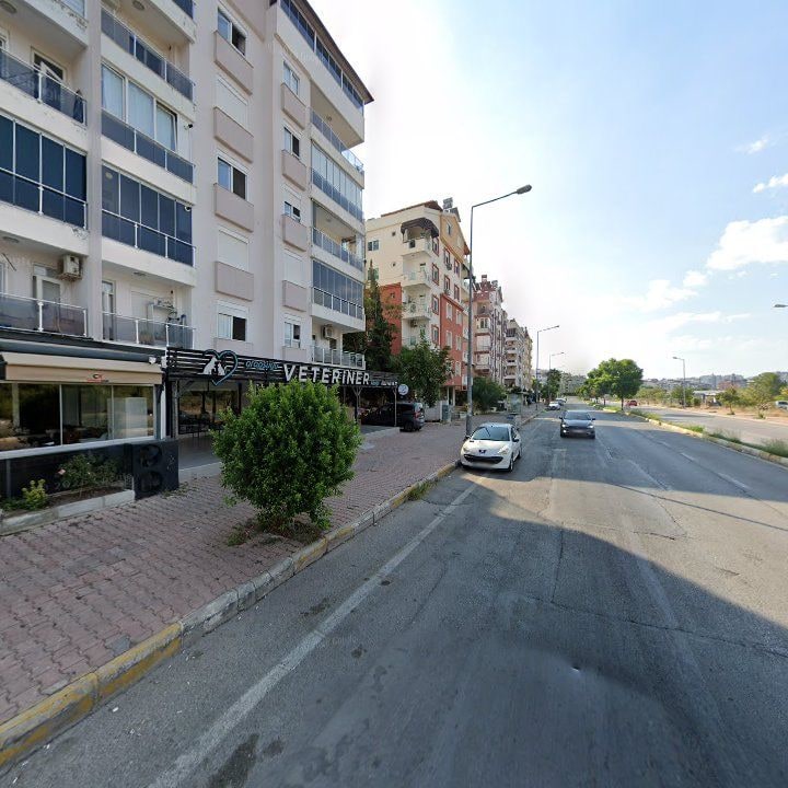 Fotoğraf 9