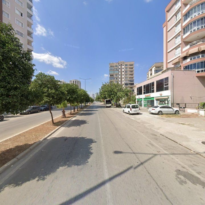 Fotoğraf 12