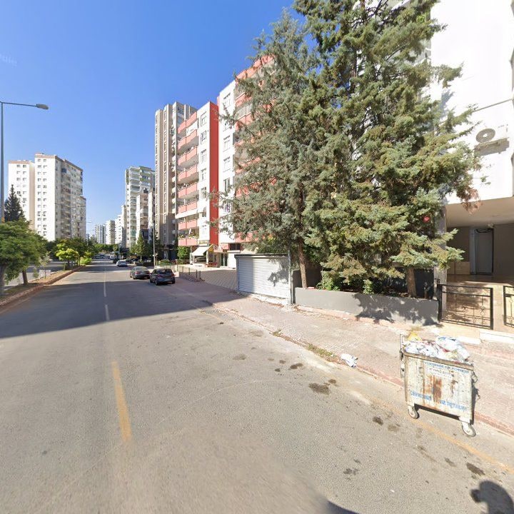 Fotoğraf 7