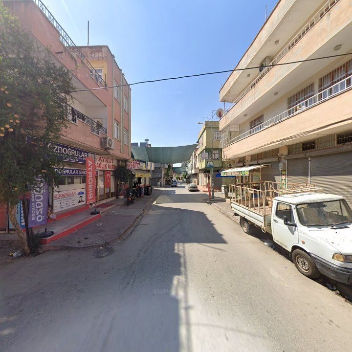 Fotoğraf 4