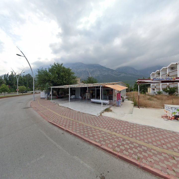 Fotoğraf 9