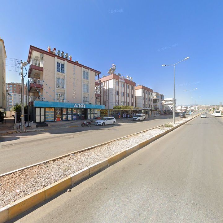 Fotoğraf 7