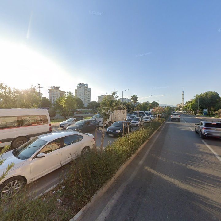 Fotoğraf 11