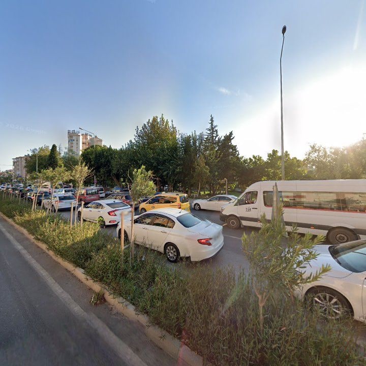 Fotoğraf 10