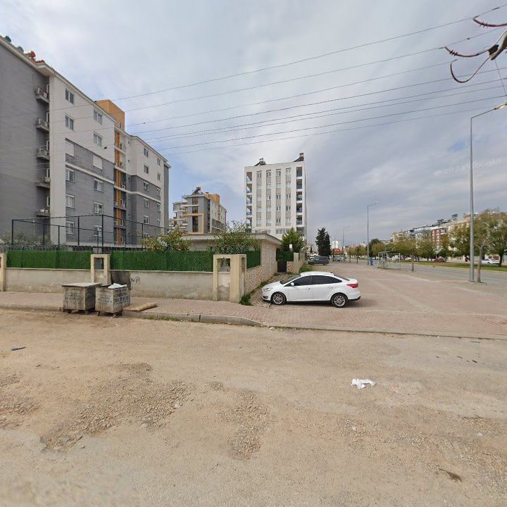 Fotoğraf 8