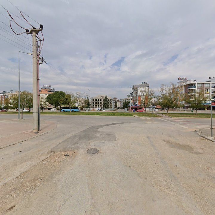 Fotoğraf 9