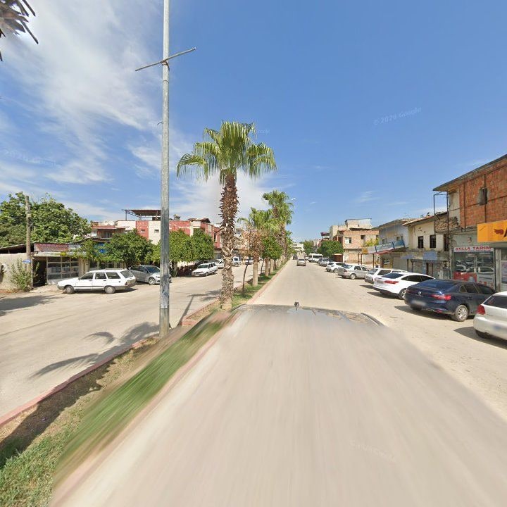 Fotoğraf 6