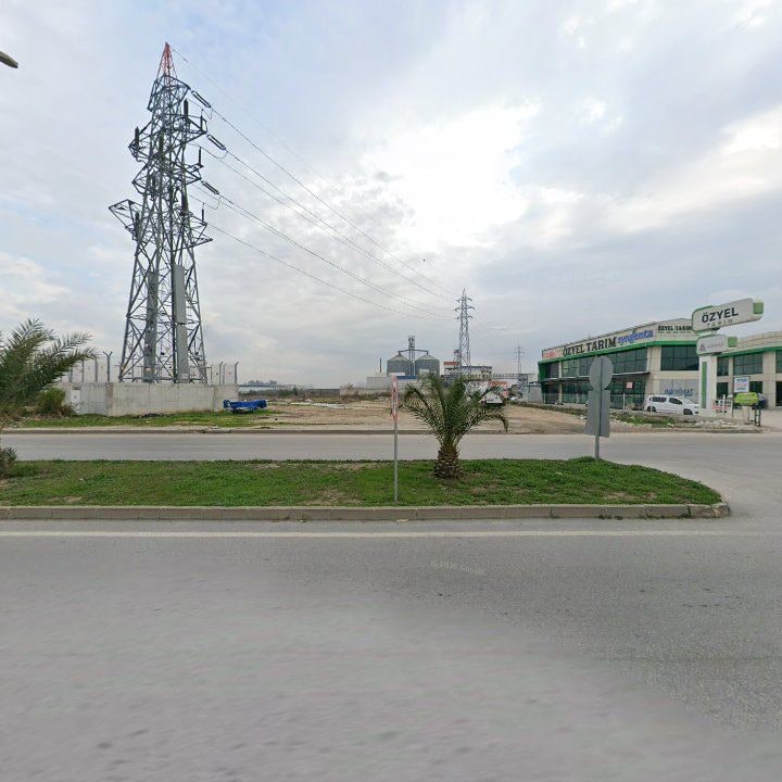 Fotoğraf 8
