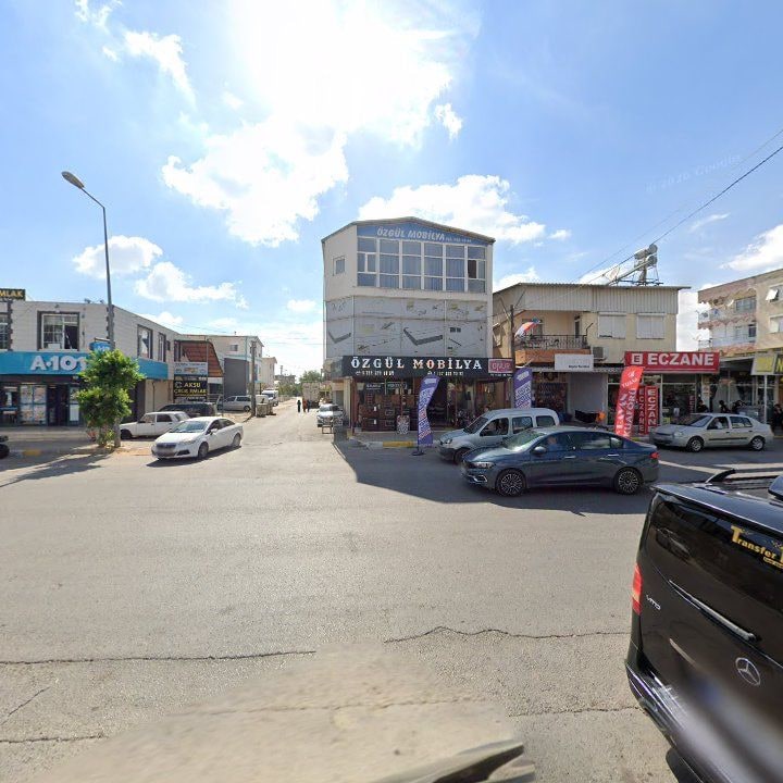 Fotoğraf 8