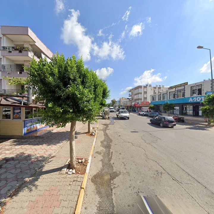 Fotoğraf 7