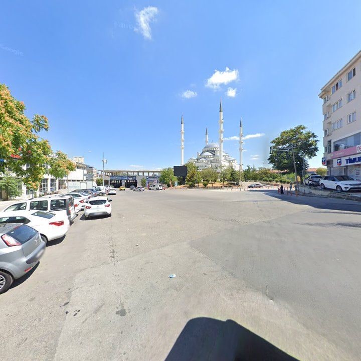 Fotoğraf 8
