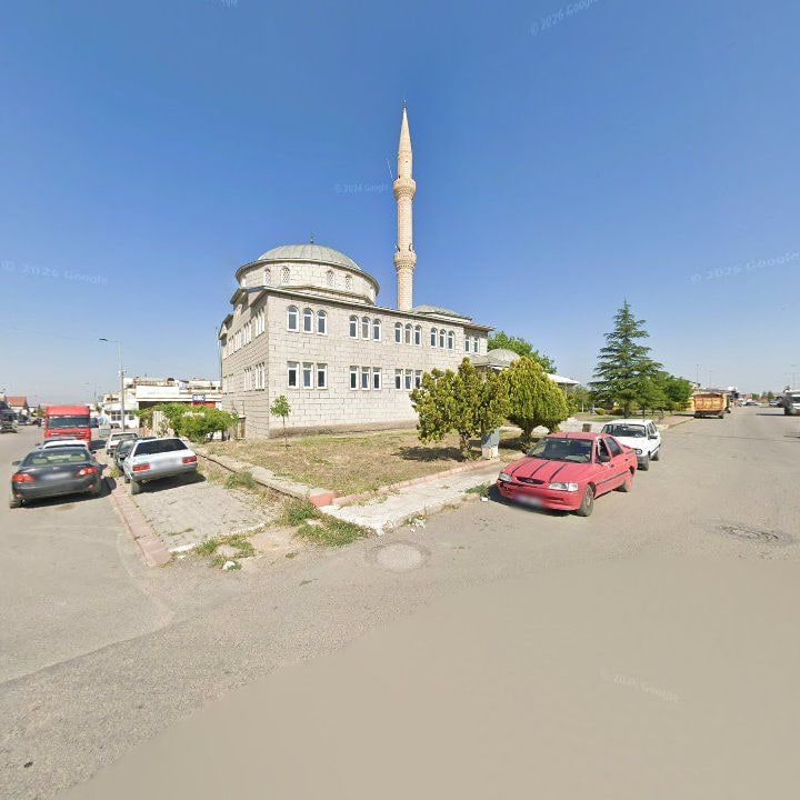 Fotoğraf 5
