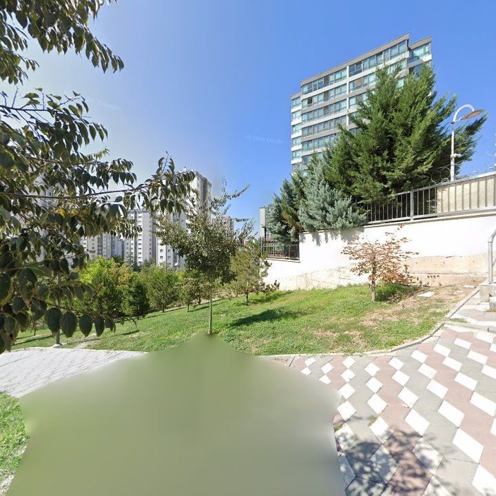 Fotoğraf 11