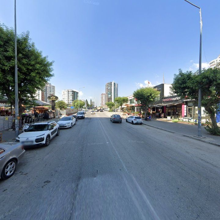 Fotoğraf 11