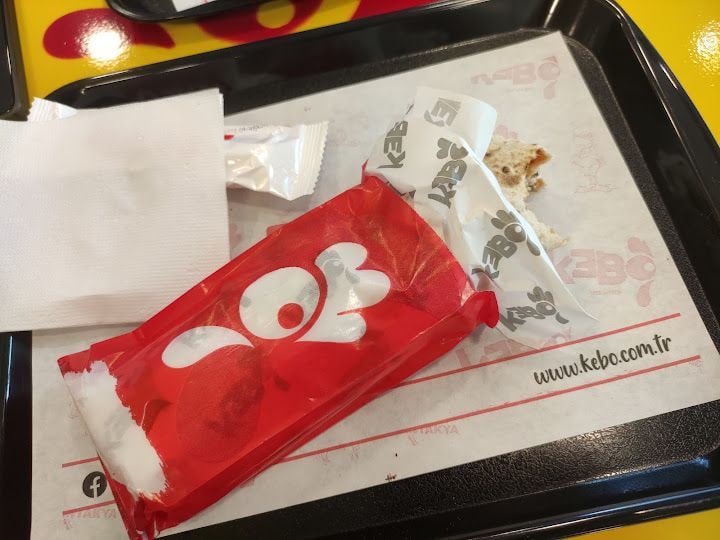 Kebo Ziyapaşa
