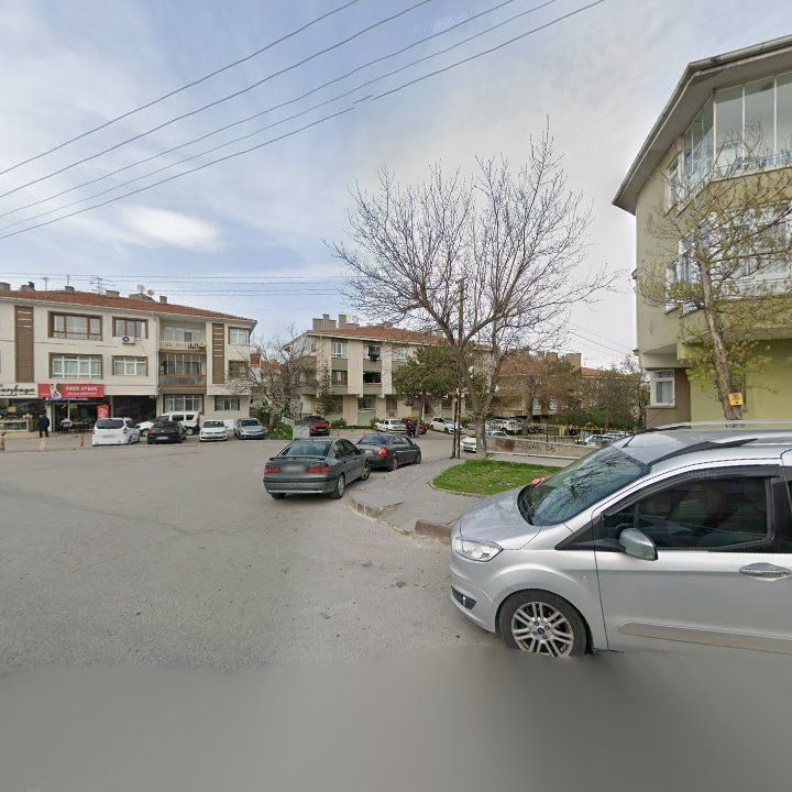 Fotoğraf 10