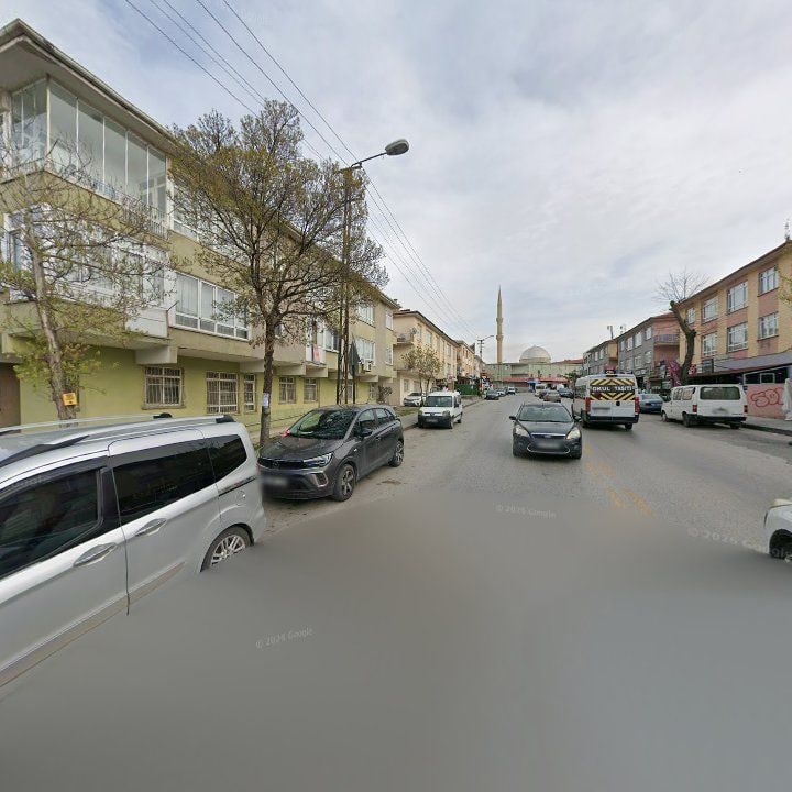 Fotoğraf 7