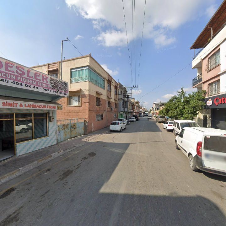 Fotoğraf 5