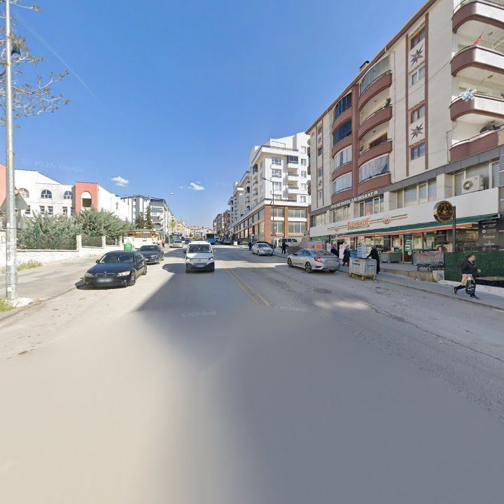 Fotoğraf 12