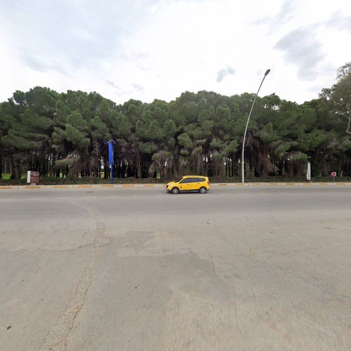 Fotoğraf 8