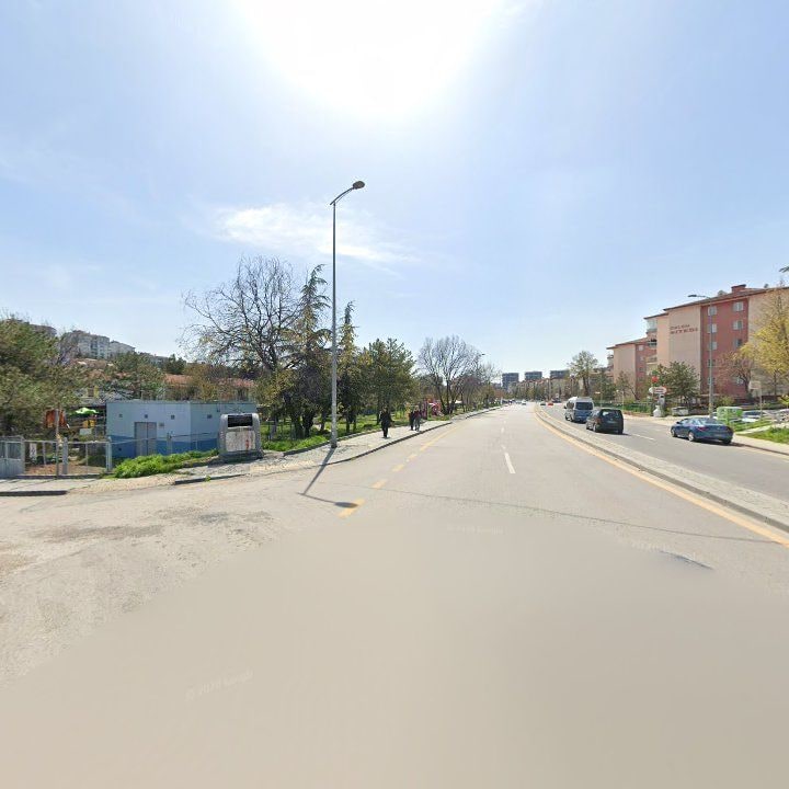 Fotoğraf 10