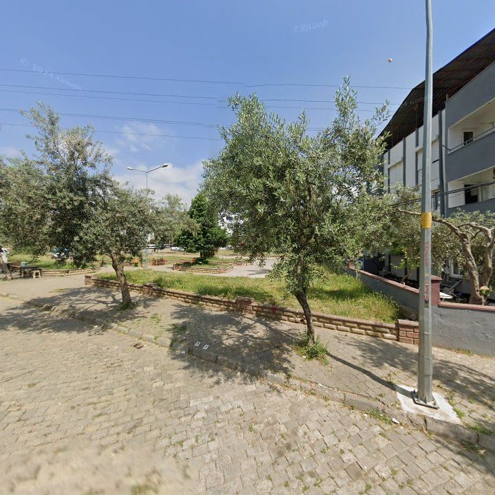 Fotoğraf 12