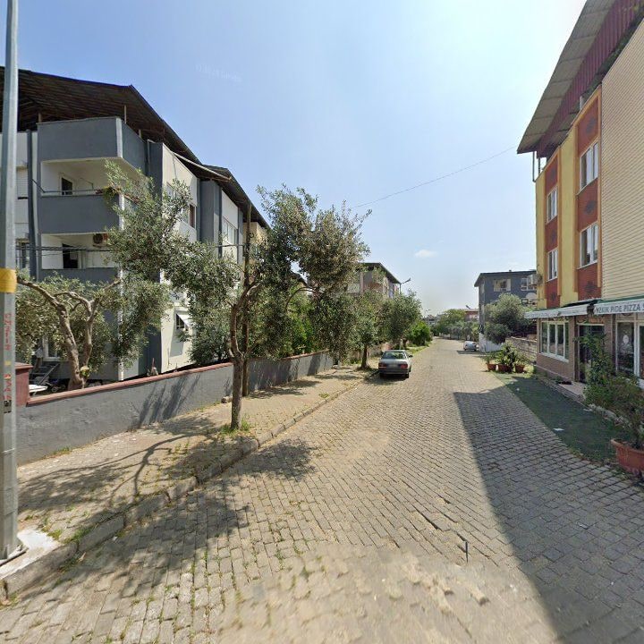 Fotoğraf 13