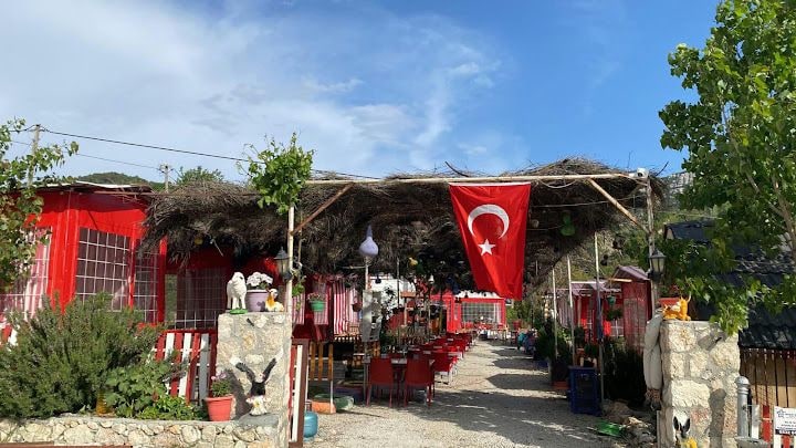 Fotoğraf 7