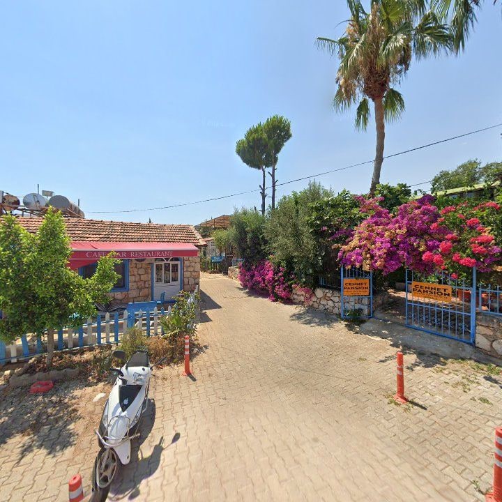Fotoğraf 10