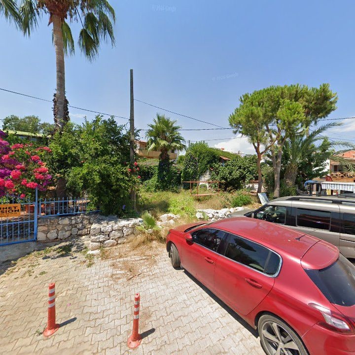 Fotoğraf 11