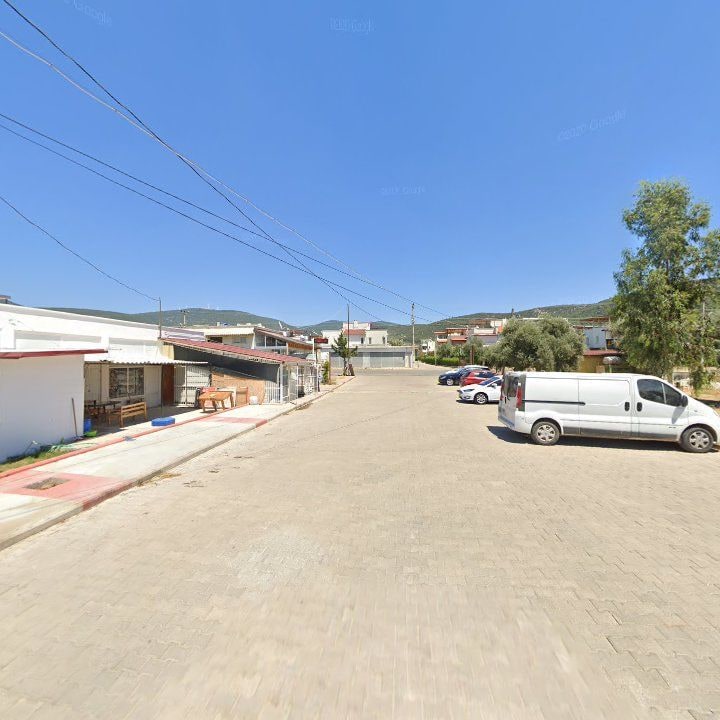 Fotoğraf 6