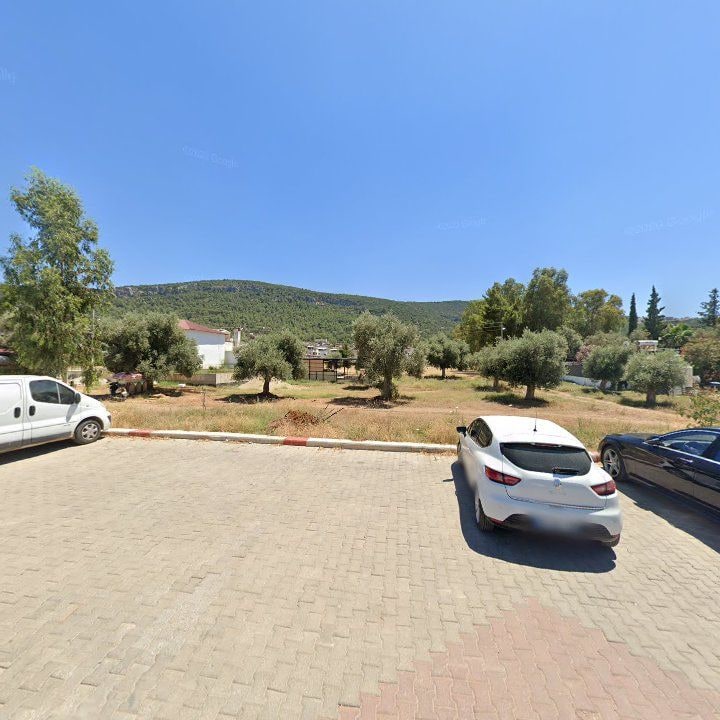 Fotoğraf 7