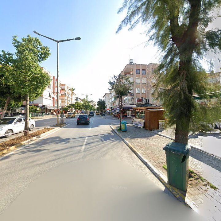 Fotoğraf 11