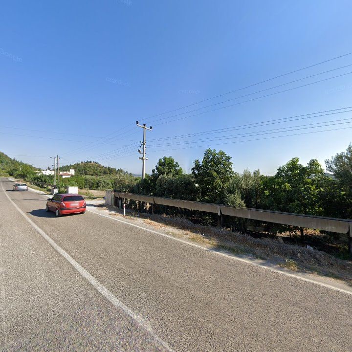 Fotoğraf 8