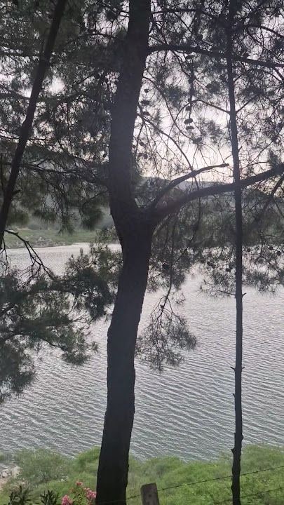 Kemer Balık