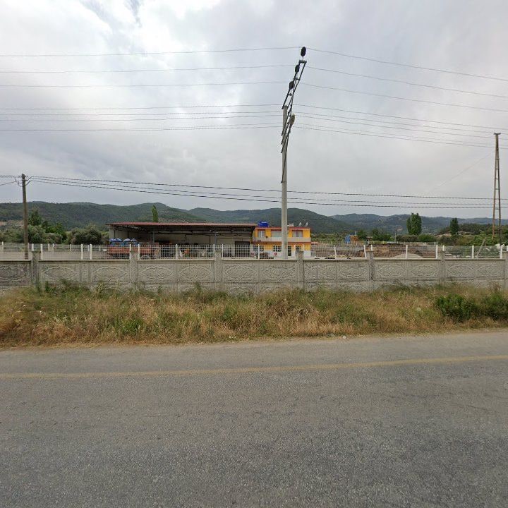 Fotoğraf 7