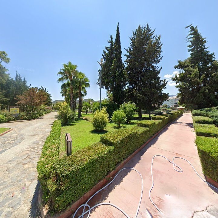 Fotoğraf 8