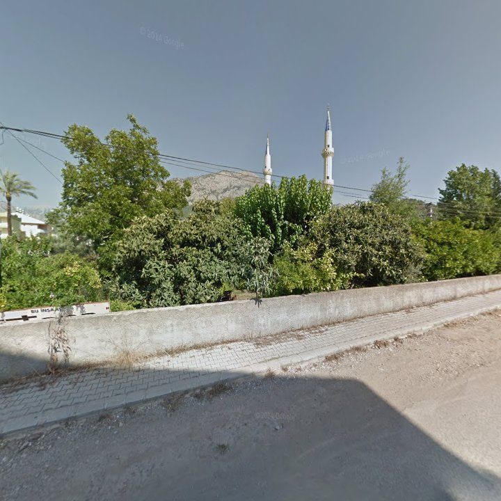 Fotoğraf 7