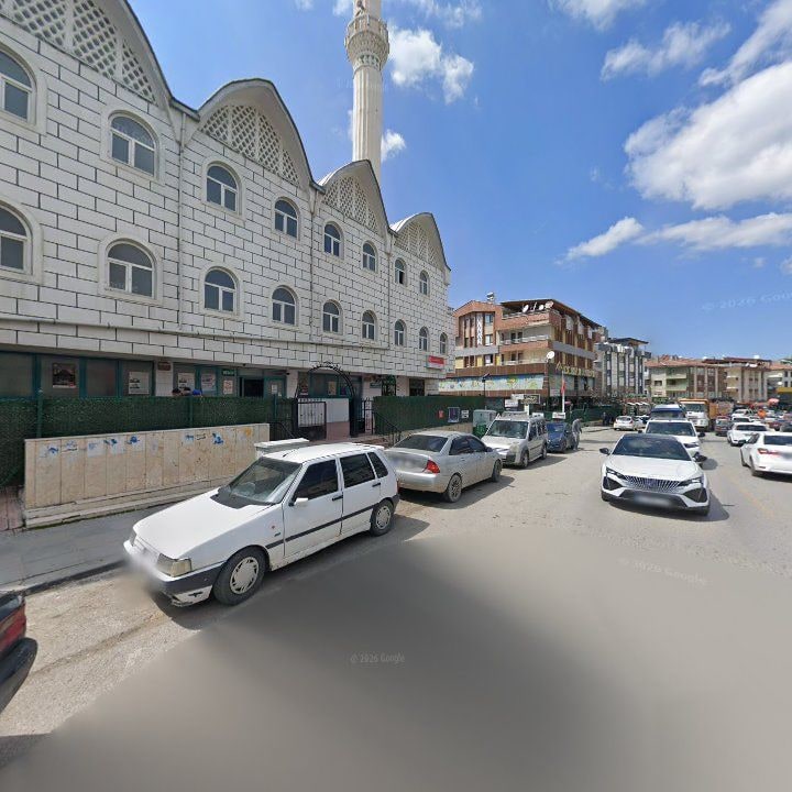 Fotoğraf 10