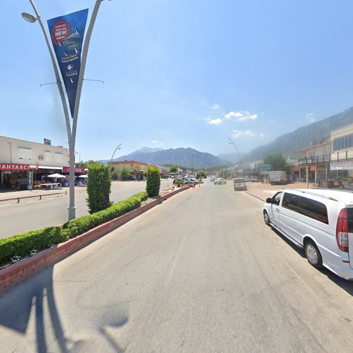 Fotoğraf 12