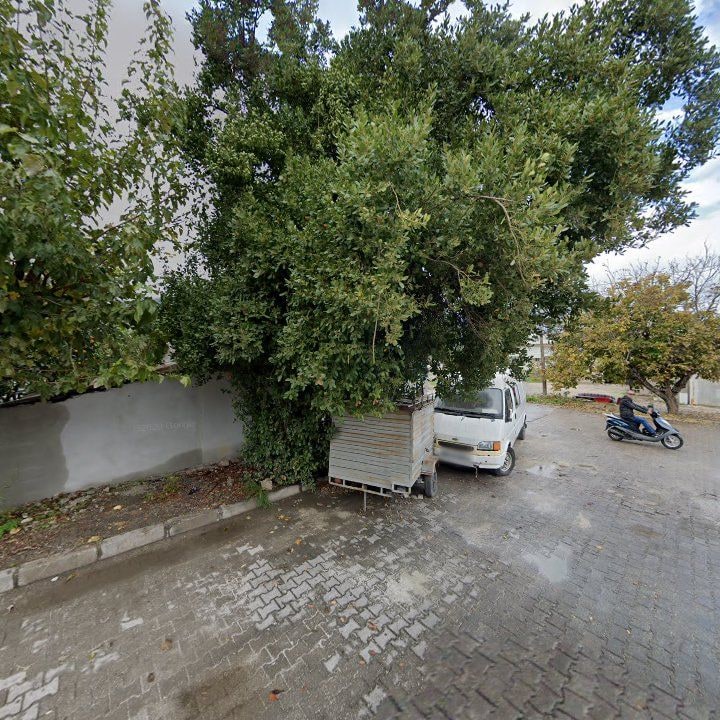 Fotoğraf 7