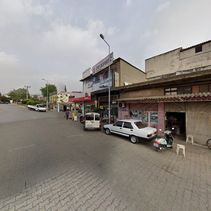 Fotoğraf 8
