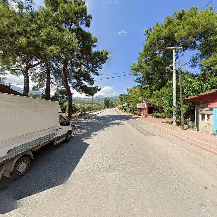 Fotoğraf 6
